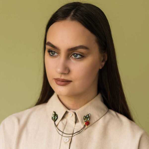 Божья коровка