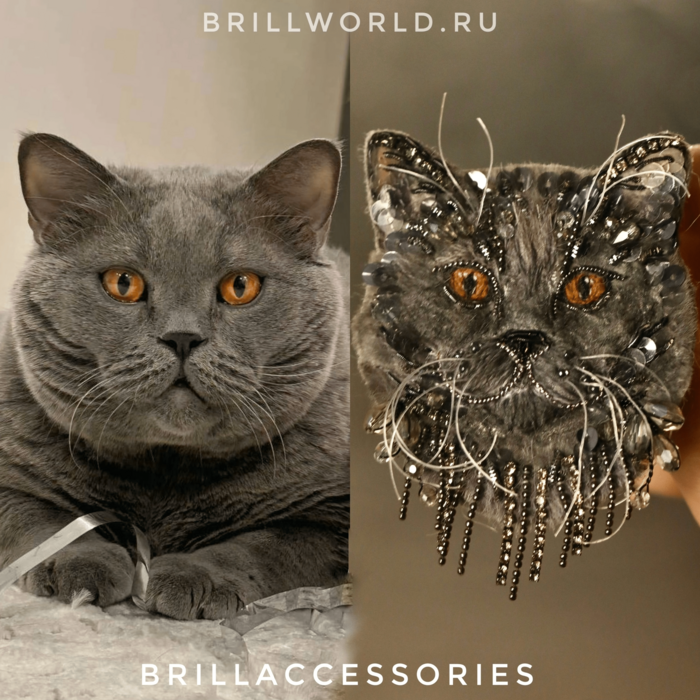 Брошь по фото Британская кошка