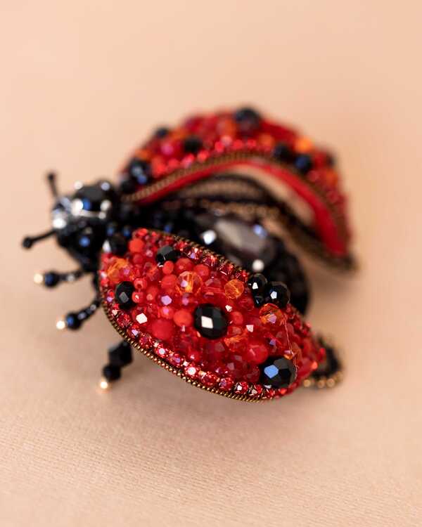 Божья коровка