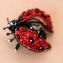 Божья коровка