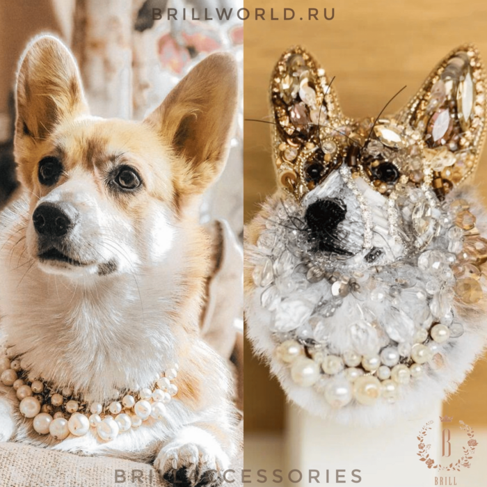 Брошь по фото Корги