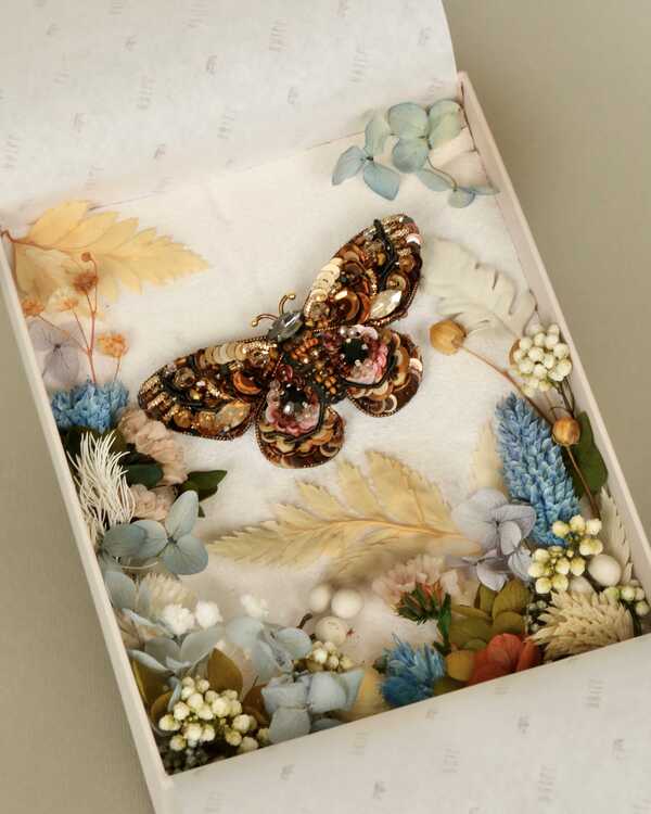 Мотылёк Лоя