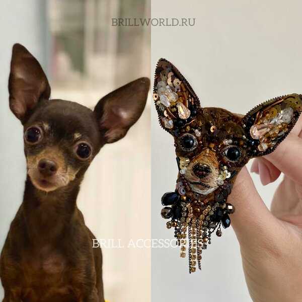 Брошь по фото Чихуахуа