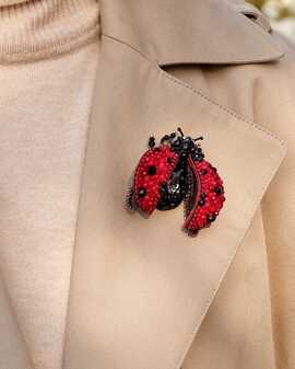 Божья коровка