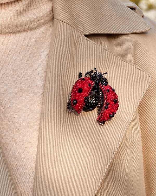 Божья коровка