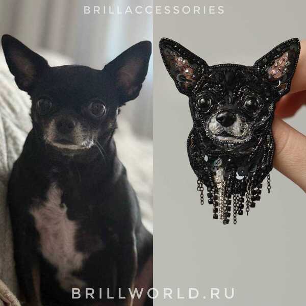 Брошь по фото Чихуахуа
