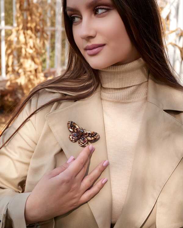 Мотылёк Лоя