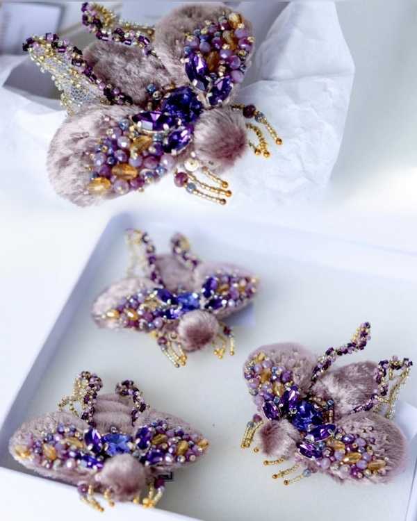 Мотылек Виши