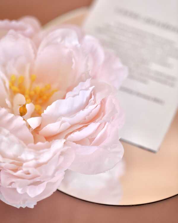 Пион Люсьен