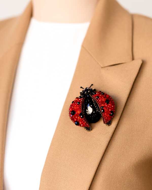 Божья коровка