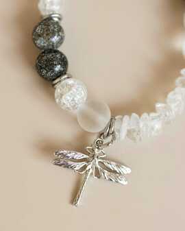 Сахарная стрекоза