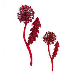 Одуванчик рубиновый