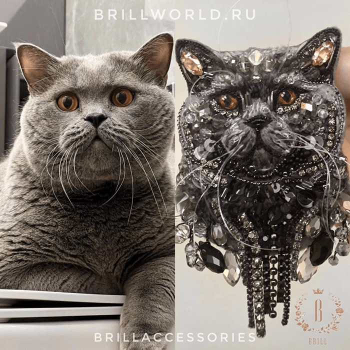 Брошь по фото Британская кошка