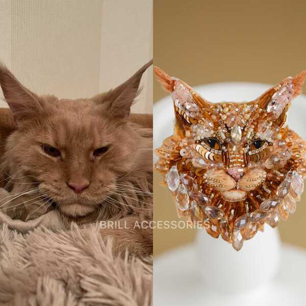 Брошь по фото Мейн-куна