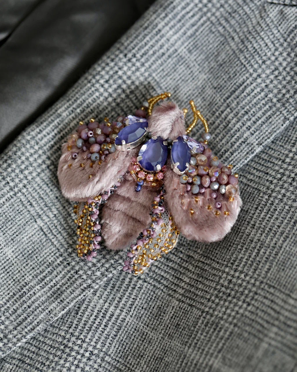 Мотылек Виши