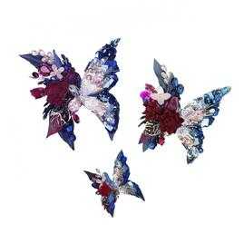 Бабочка Летиция