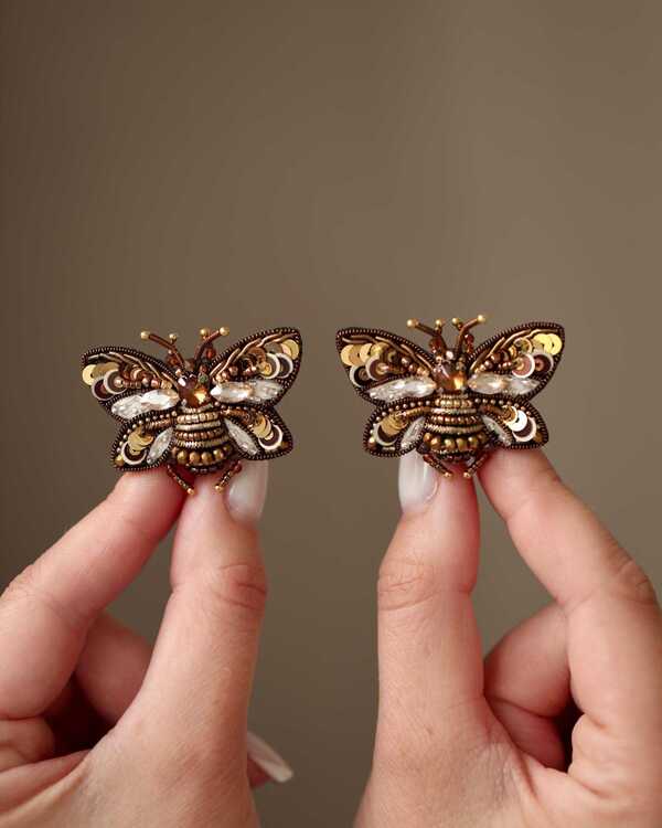 Мотылек Брауни