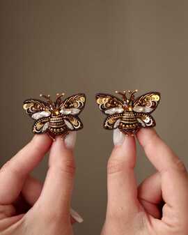 Мотылек Брауни