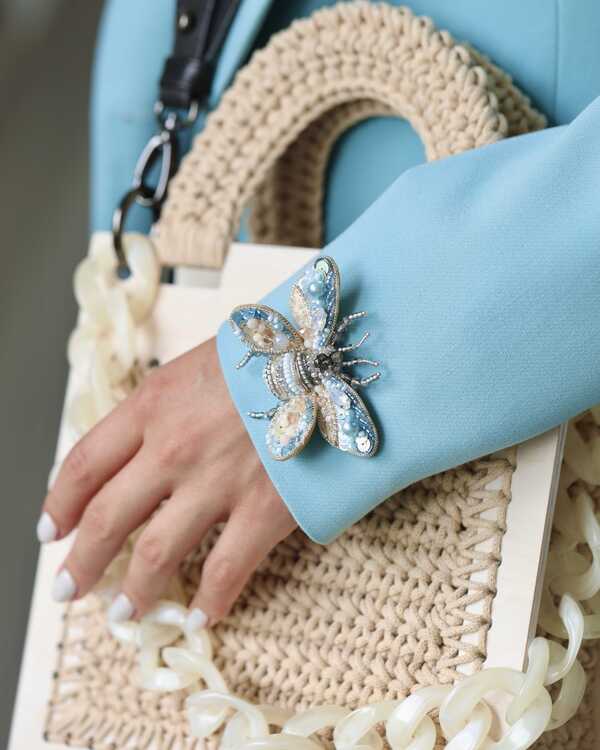 Мотылёк Брауни