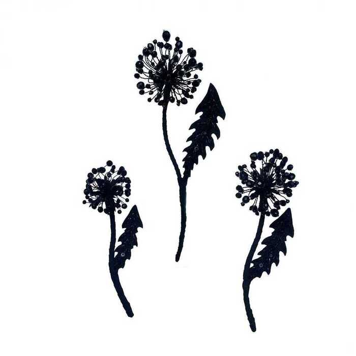 Одуванчик чёрный