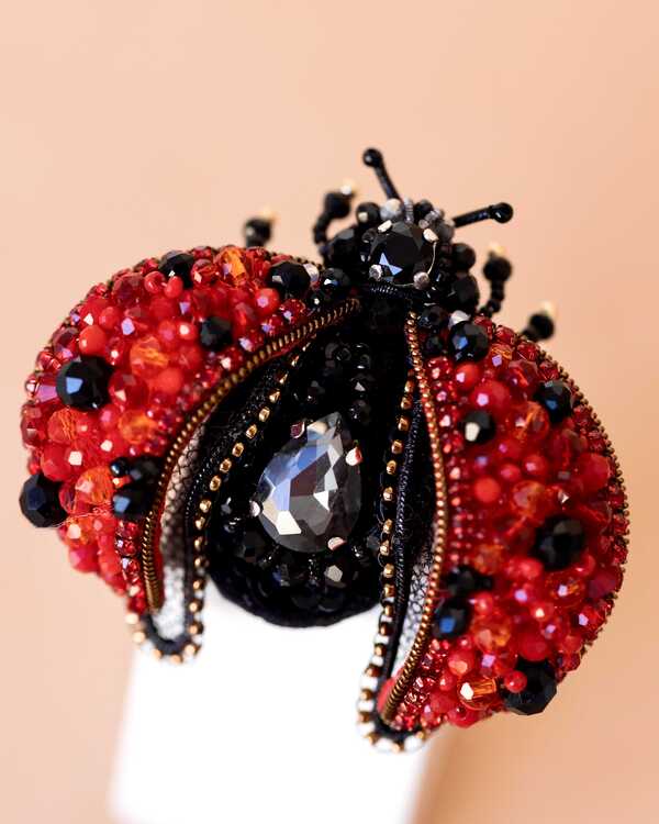 Божья коровка