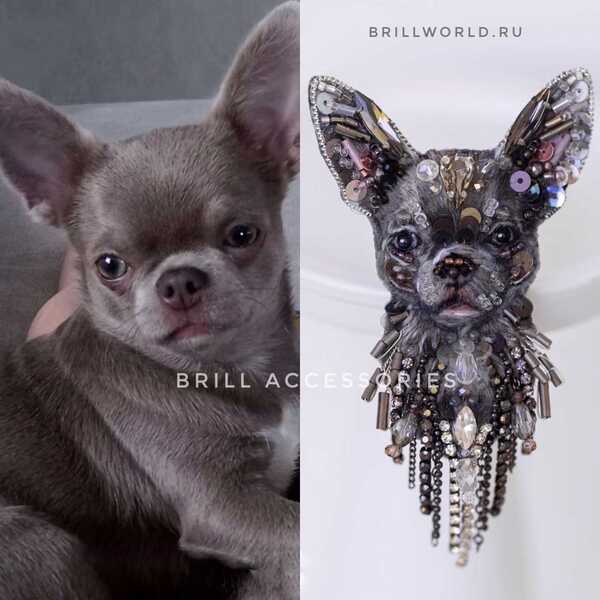 Брошь по фото Чихуахуа