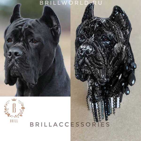 Брошь по фото Кане-корсо