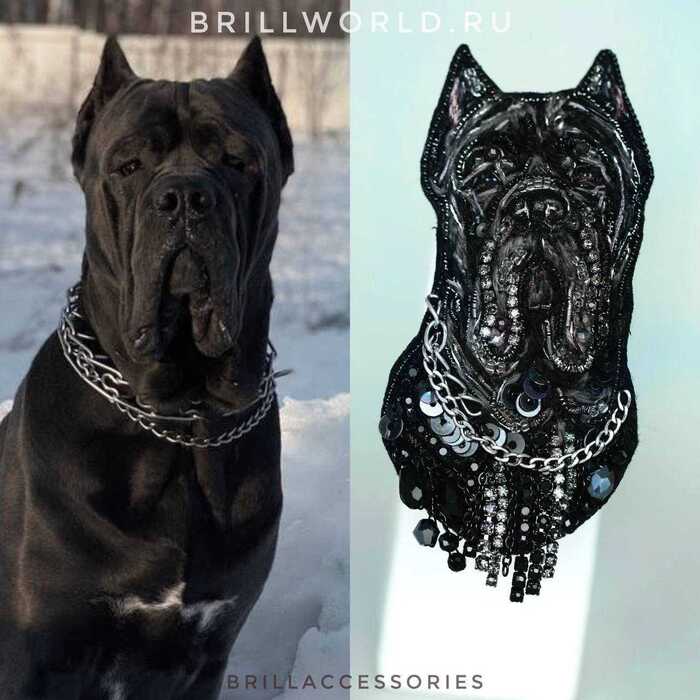 Брошь по фото Кане-корсо