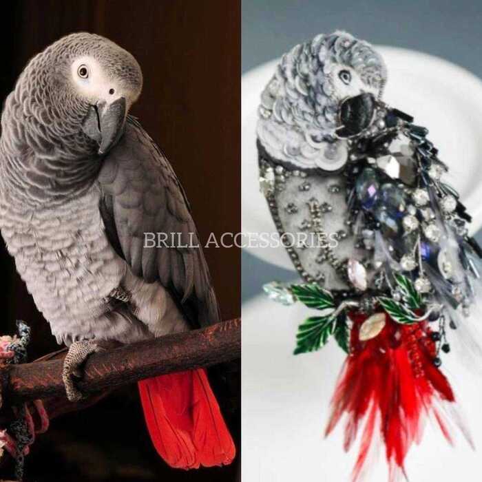 Брошь по фото попугая