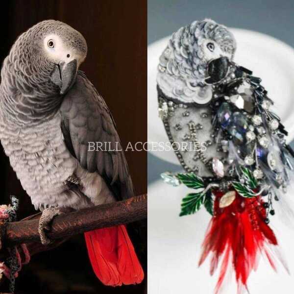 Брошь по фото попугая