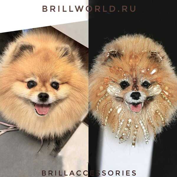 Брошь по фото Шпиц