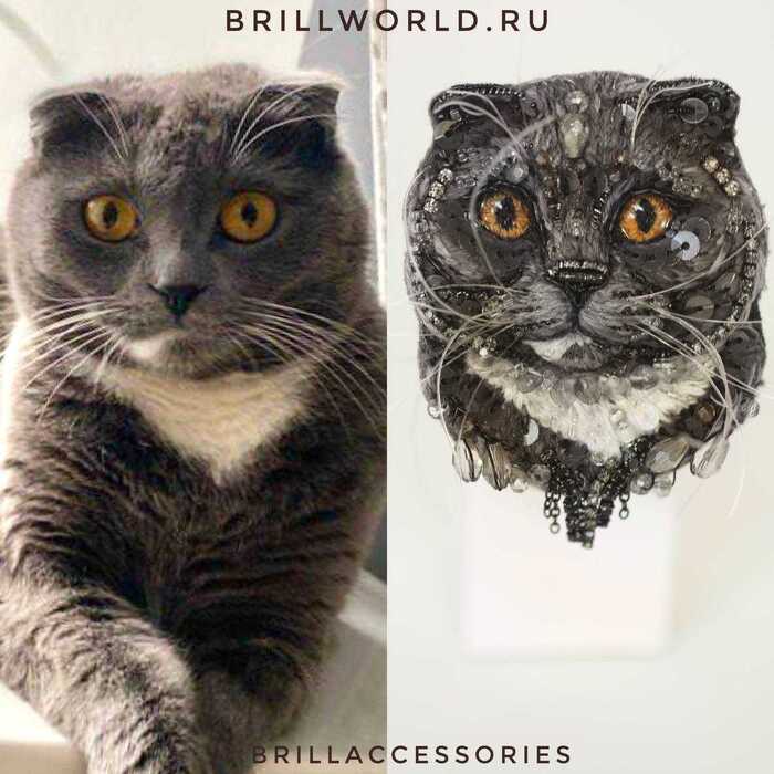 Брошь по фото кошки Шотландской вислоухой