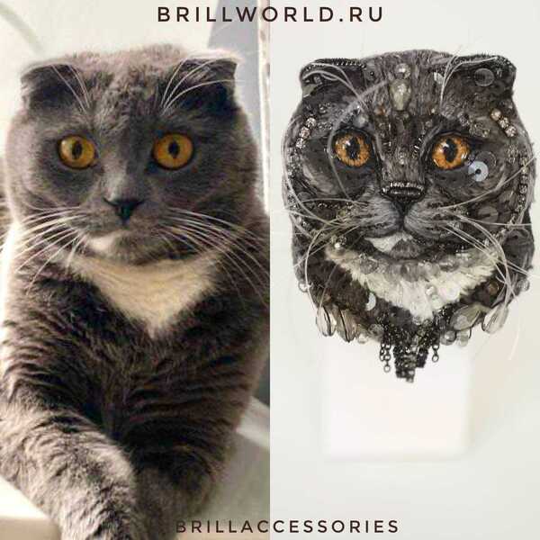 Брошь по фото кошки Шотландской вислоухой