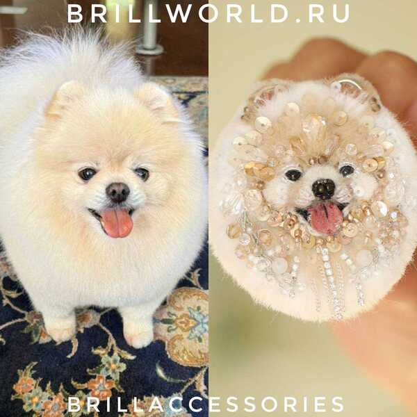 Брошь по фото Шпиц