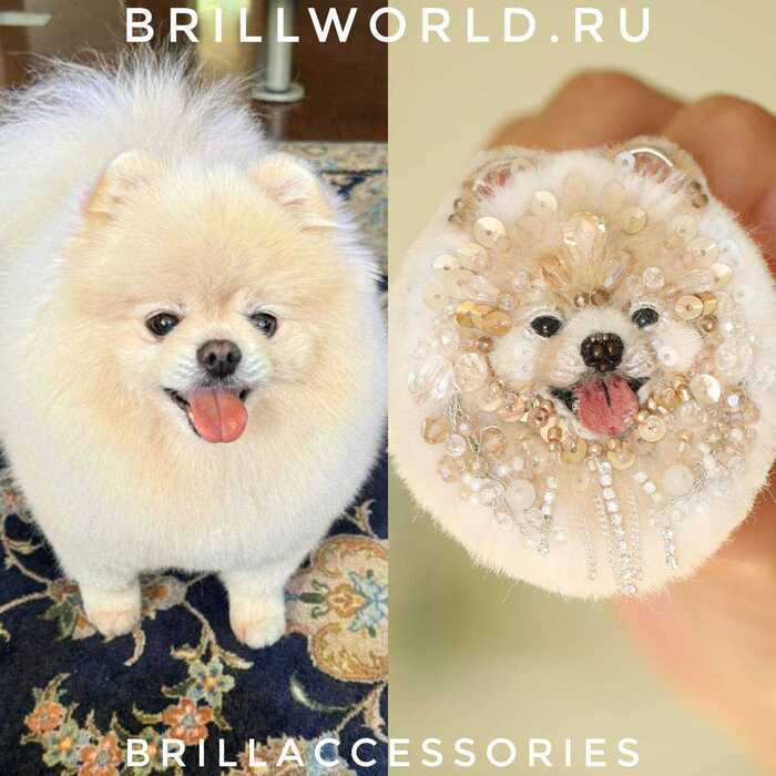 Брошь по фото Шпиц
