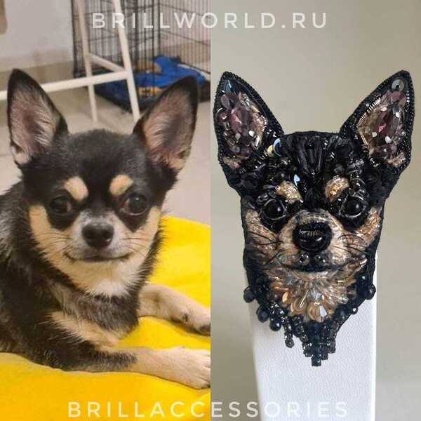Брошь по фото Чихуахуа