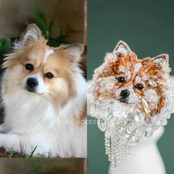 Брошь по фото Шпиц