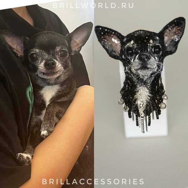 Брошь по фото Чихуахуа