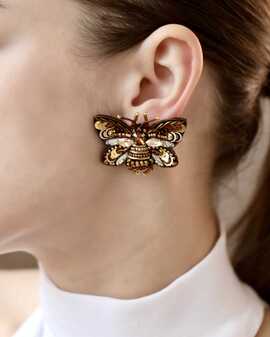 Мотылек Брауни