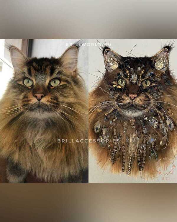 Брошь по фото Мейн-куна