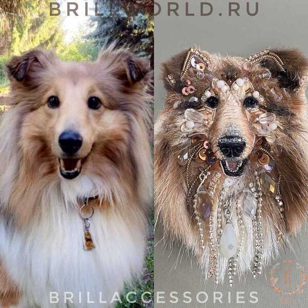 Брошь по фото Колли