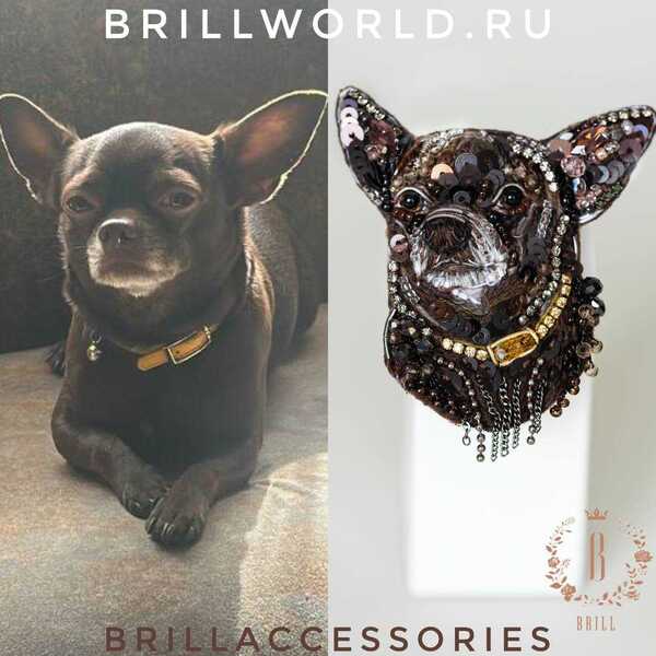 Брошь по фото Чихуахуа