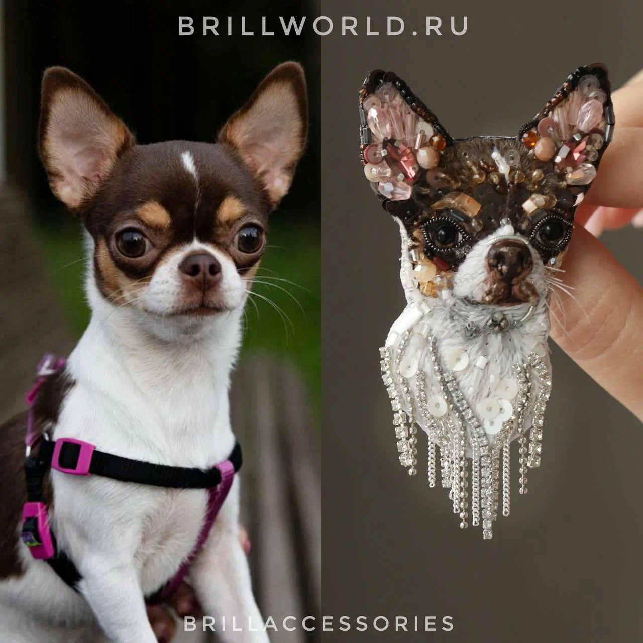 Брошь по фото Чихуахуа