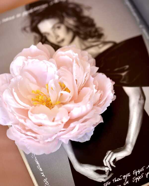 Пион Люсьен