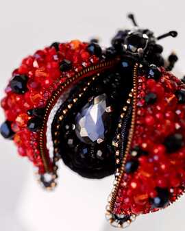 Божья коровка