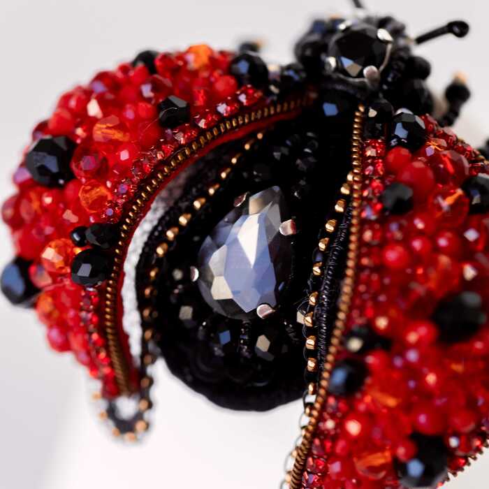 Божья коровка