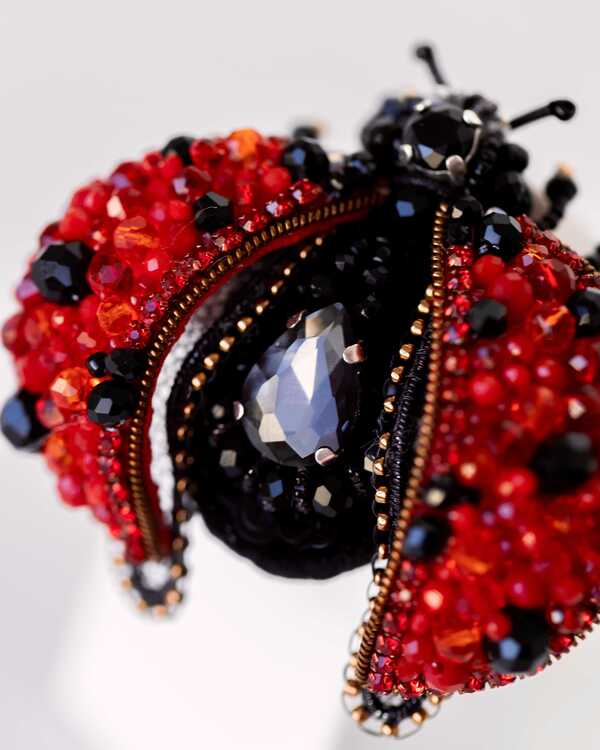 Божья коровка