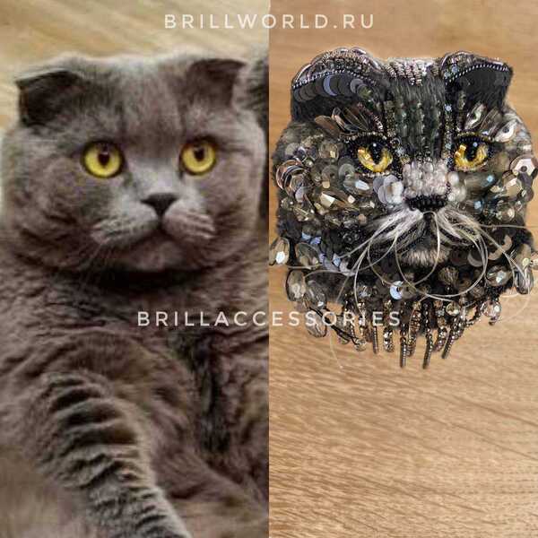 Брошь по фото кошки Шотландской вислоухой