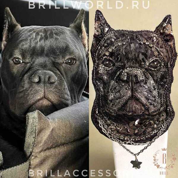 Брошь по фото Кане-корсо