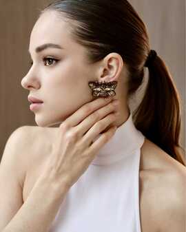 Мотылек Брауни